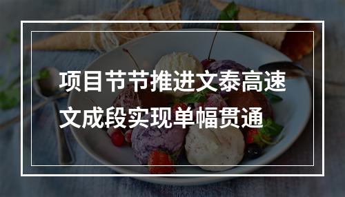 项目节节推进文泰高速文成段实现单幅贯通