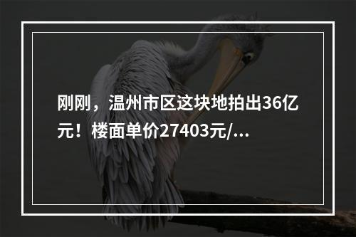 刚刚，温州市区这块地拍出36亿元！楼面单价27403元/㎡