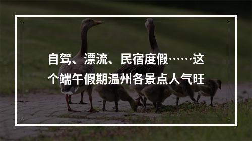 自驾、漂流、民宿度假……这个端午假期温州各景点人气旺