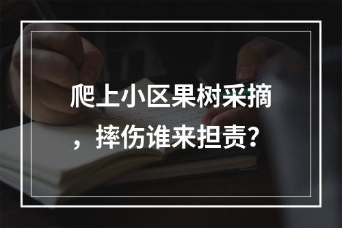 爬上小区果树采摘，摔伤谁来担责？