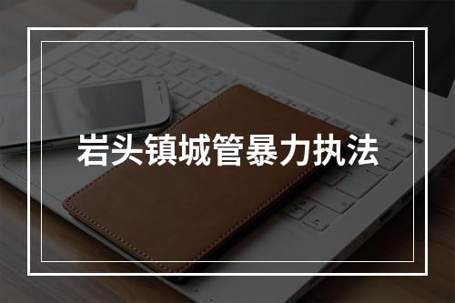 岩头镇城管暴力执法