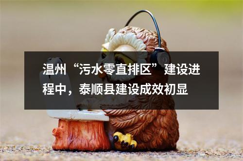 温州“污水零直排区”建设进程中，泰顺县建设成效初显