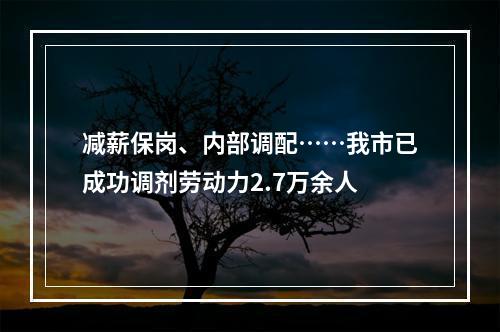 减薪保岗、内部调配……我市已成功调剂劳动力2.7万余人