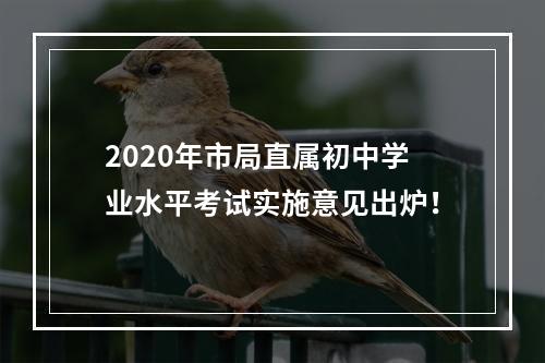 2020年市局直属初中学业水平考试实施意见出炉！