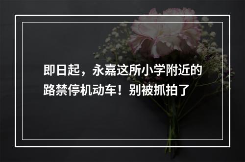 即日起，永嘉这所小学附近的路禁停机动车！别被抓拍了