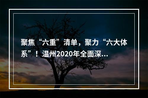 聚焦“六重”清单，聚力“六大体系”！温州2020年全面深化改革“路线图”出炉