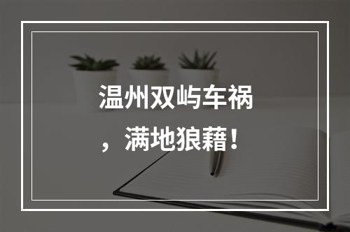 温州双屿车祸，满地狼藉！