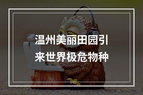 温州美丽田园引来世界极危物种