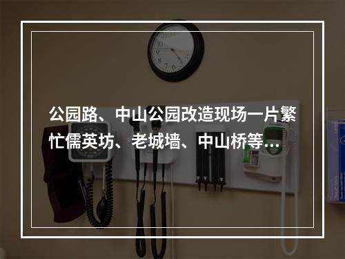 公园路、中山公园改造现场一片繁忙儒英坊、老城墙、中山桥等成施工重点