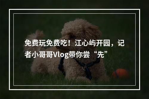 免费玩免费吃！江心屿开园，记者小哥哥Vlog带你尝“先”