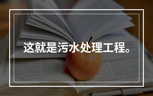 这就是污水处理工程。