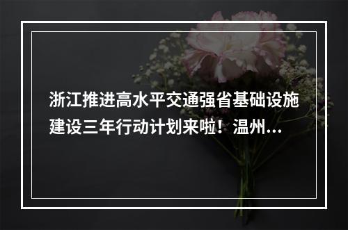 浙江推进高水平交通强省基础设施建设三年行动计划来啦！温州有这些项目