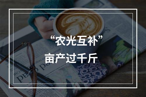 “农光互补”亩产过千斤