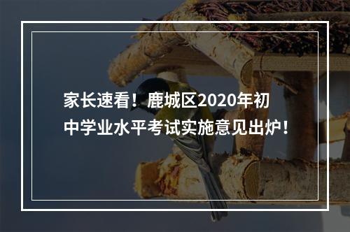 家长速看！鹿城区2020年初中学业水平考试实施意见出炉！