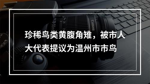 珍稀鸟类黄腹角雉，被市人大代表提议为温州市市鸟