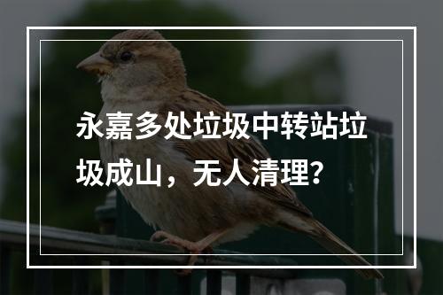 永嘉多处垃圾中转站垃圾成山，无人清理？