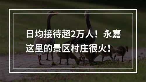 日均接待超2万人！永嘉这里的景区村庄很火！