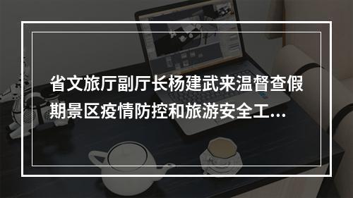 省文旅厅副厅长杨建武来温督查假期景区疫情防控和旅游安全工作
