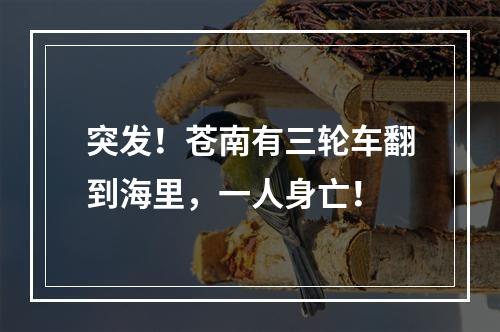 突发！苍南有三轮车翻到海里，一人身亡！