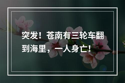 突发！苍南有三轮车翻到海里，一人身亡！