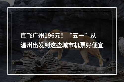 直飞广州196元！“五一”从温州出发到这些城市机票好便宜