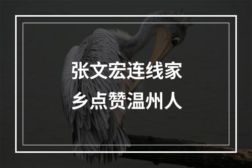 张文宏连线家乡点赞温州人