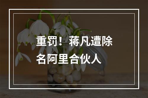 重罚！蒋凡遭除名阿里合伙人