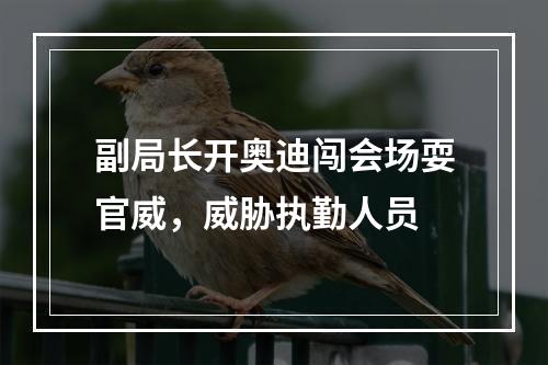 副局长开奥迪闯会场耍官威，威胁执勤人员