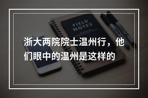浙大两院院士温州行，他们眼中的温州是这样的