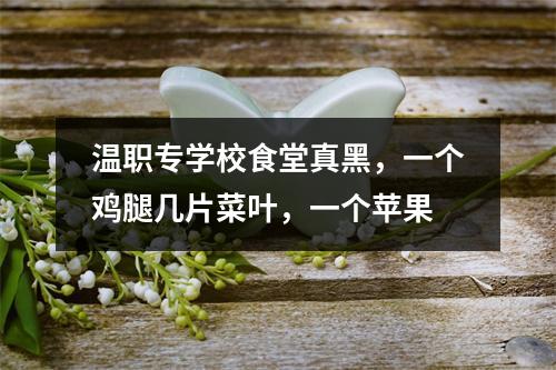温职专学校食堂真黑，一个鸡腿几片菜叶，一个苹果
