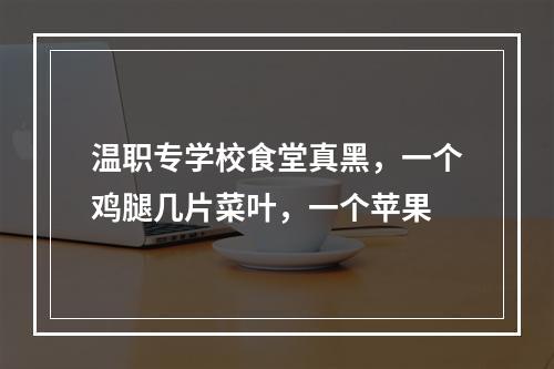 温职专学校食堂真黑，一个鸡腿几片菜叶，一个苹果
