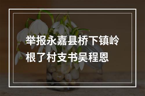 举报永嘉县桥下镇岭根了村支书吴程恩