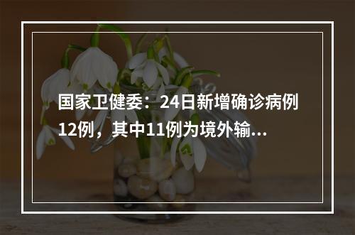 国家卫健委：24日新增确诊病例12例，其中11例为境外输入