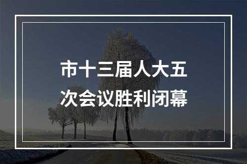 市十三届人大五次会议胜利闭幕