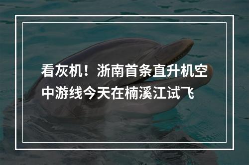 看灰机！浙南首条直升机空中游线今天在楠溪江试飞