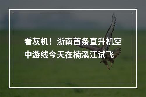 看灰机！浙南首条直升机空中游线今天在楠溪江试飞
