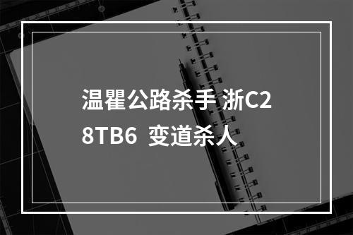 温瞿公路杀手 浙C28TB6  变道杀人