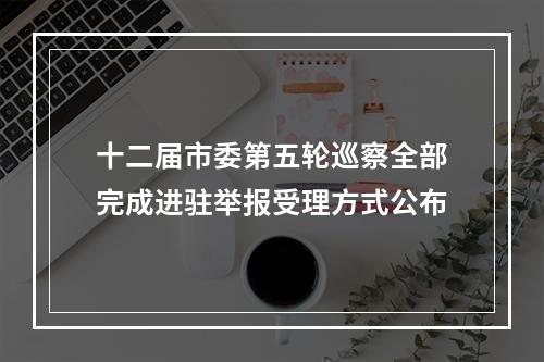 十二届市委第五轮巡察全部完成进驻举报受理方式公布