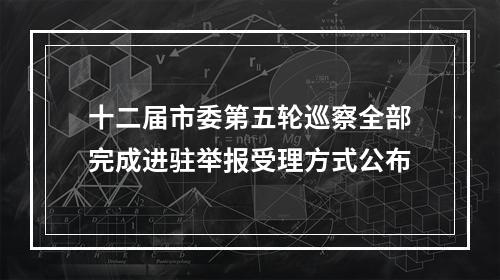十二届市委第五轮巡察全部完成进驻举报受理方式公布
