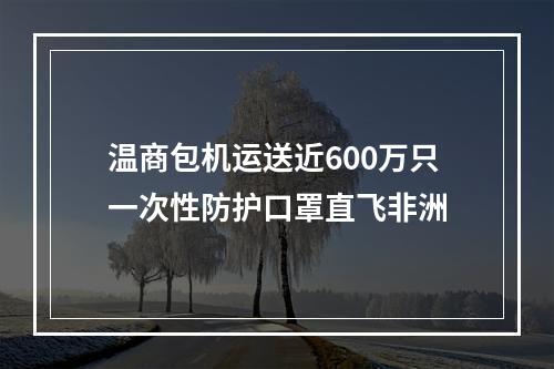 温商包机运送近600万只一次性防护口罩直飞非洲