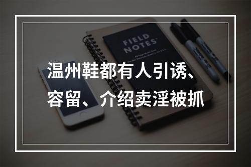 温州鞋都有人引诱、容留、介绍卖淫被抓