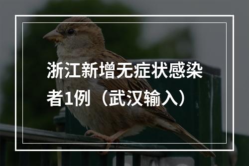 浙江新增无症状感染者1例（武汉输入）