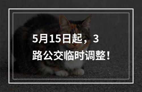 5月15日起，3路公交临时调整！