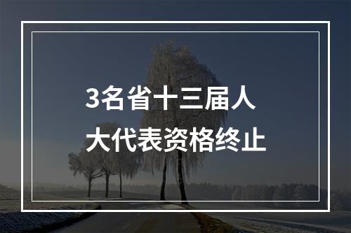 3名省十三届人大代表资格终止