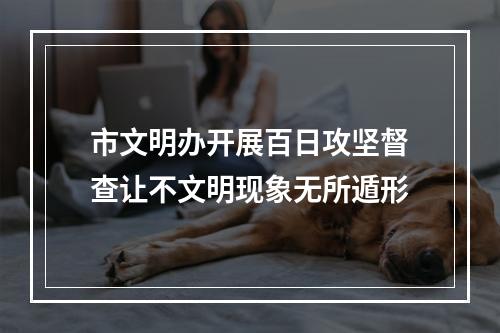 市文明办开展百日攻坚督查让不文明现象无所遁形