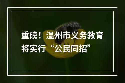 重磅！温州市义务教育将实行“公民同招”