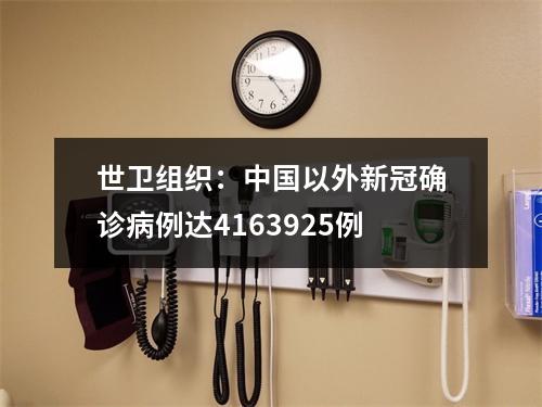 世卫组织：中国以外新冠确诊病例达4163925例