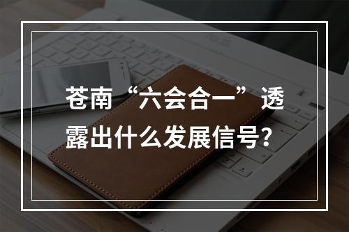 苍南“六会合一”透露出什么发展信号？