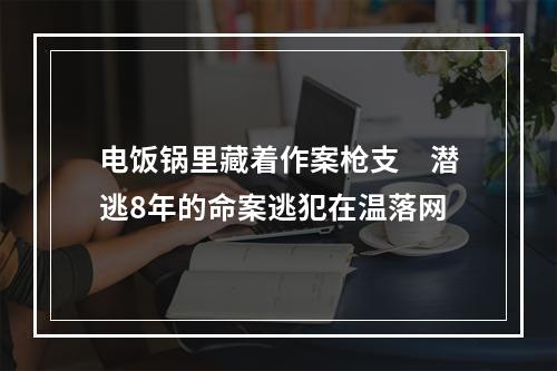 电饭锅里藏着作案枪支　潜逃8年的命案逃犯在温落网