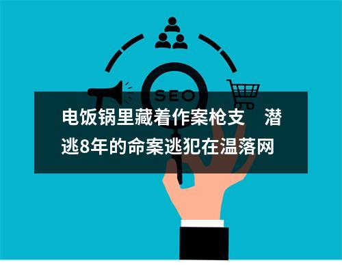 电饭锅里藏着作案枪支　潜逃8年的命案逃犯在温落网